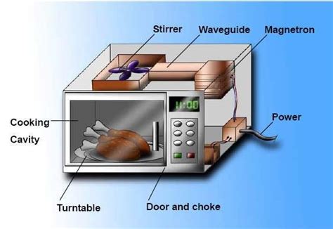 1 Basic structure of a microwave oven... | Download Scientific Diagram