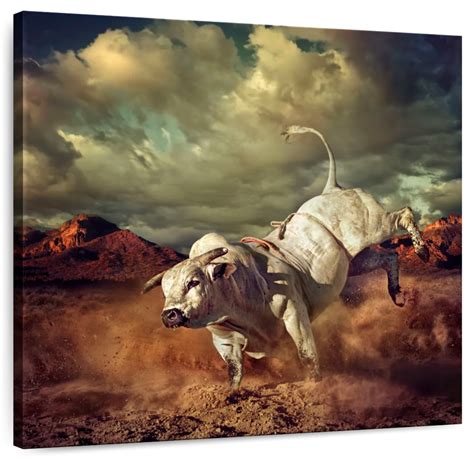 Bucking Bull Wall Art | Photography