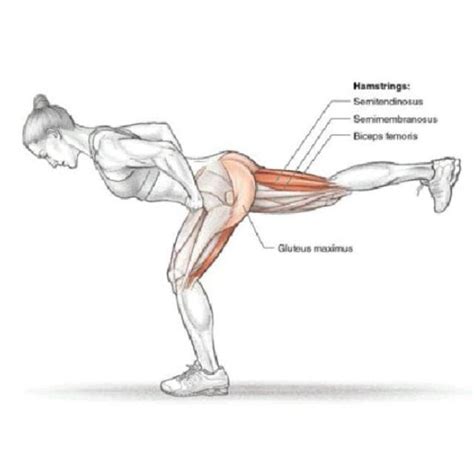 Single Leg RDL: Benefits, How To Do It, And More | by Igor Klibanov | Medium