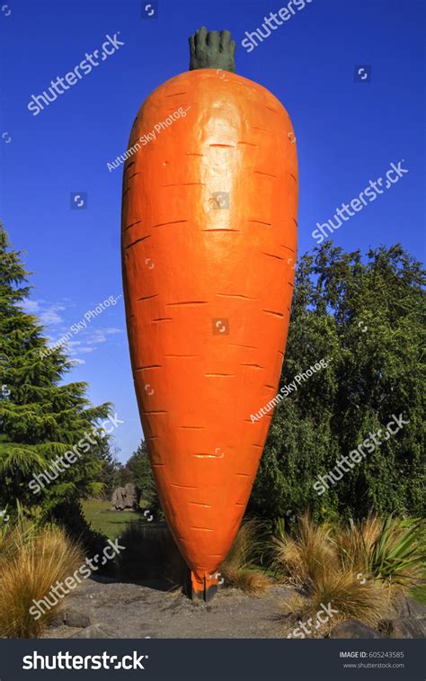 Ohakune Big Carrot Worlds Largest Carrot Stock Photo 605243585 | Shutterstock