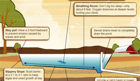 Infographic: Aquaculture Pond Construction - Hobby Farms