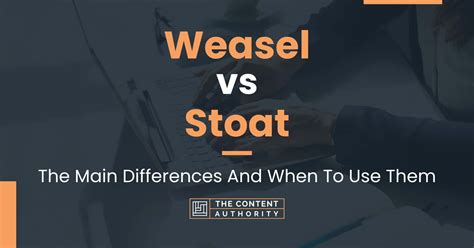 Weasel vs Stoat: The Main Differences And When To Use Them