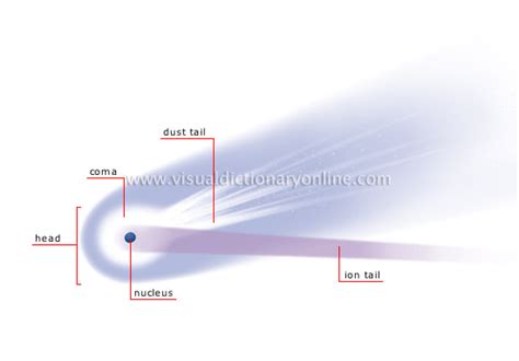 ASTRONOMY :: CELESTIAL BODIES :: COMET image - Visual Dictionary Online