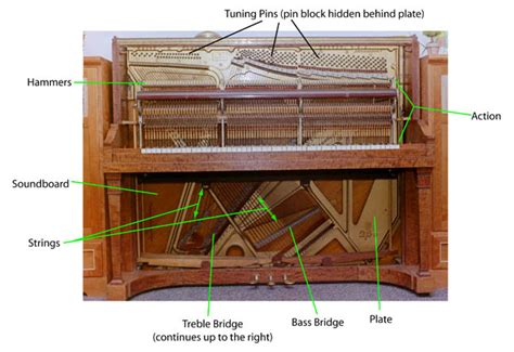 Diagram Of A Piano