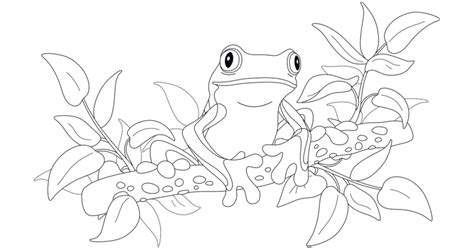 Tree Frog Coloring Pages