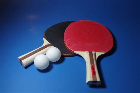 Ping Pong Sport Free Stock Photo - Public Domain Pictures