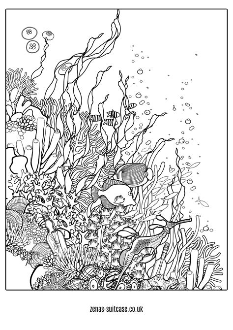 Printable Ocean Scene Coloring Pages - Printable Word Searches