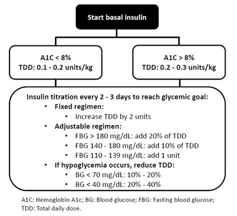 Lantus Insulin Storage Guidelines | Dandk Organizer