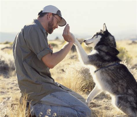 Becoming an Animal Trainer | Animal shelter volunteer, Animals, Unique animals