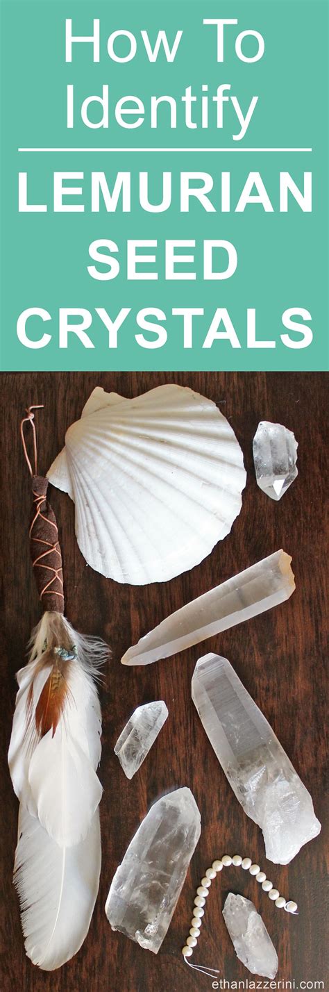 Lemurian Seed Crystals and How To Identify Them - Ethan Lazzerini | Crystal healing stones ...