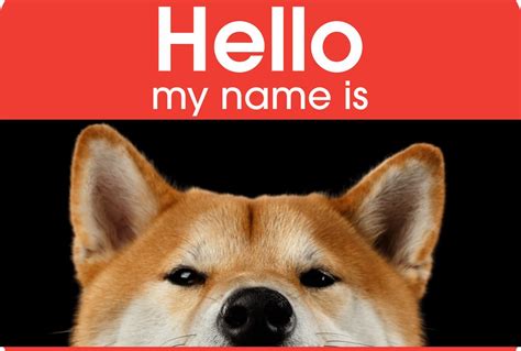 Shiba Inu Dog Names - My First Shiba Inu