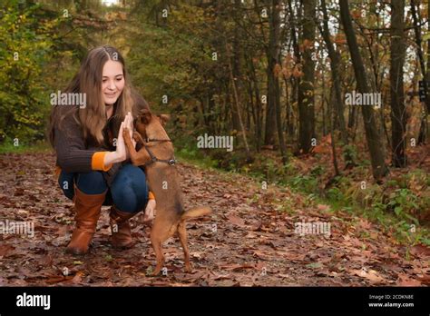 High five with the dog Stock Photo - Alamy