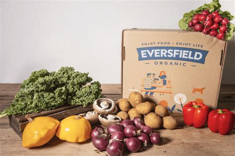 9 best vegetable delivery box services for summer 2019