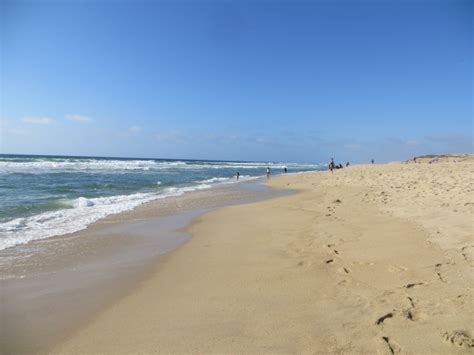 Marina State Beach in Marina, CA - California Beaches