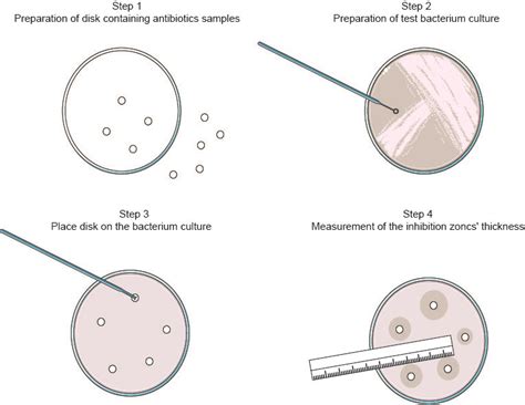 Antimicrobial Susceptibility Testing - Creative Diagnostics