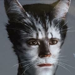 Robbie Fairchild | 'Cats' Musical Wiki | Fandom