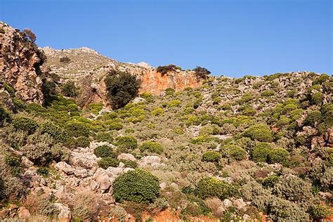 The Different Types Of Shrubland Biomes Across The World - WorldAtlas.com