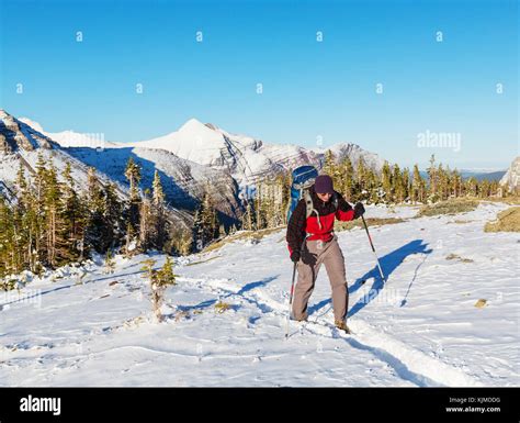 Hike in Glacier National Park, Montana Stock Photo - Alamy