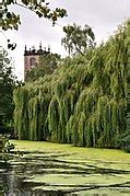 Category:St Modwen's Church, Burton upon Trent - Wikimedia Commons