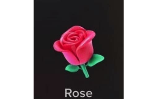 How Much Is A Rose On TikTok? [ANSWERED]