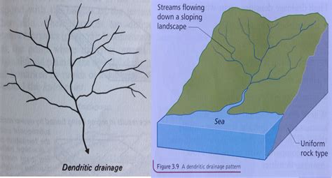 Rivers: Drainage Patterns