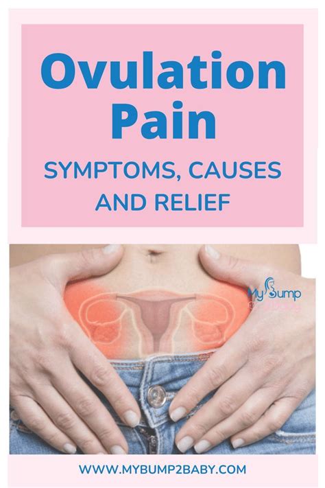 Ovulation pain symptoms causes and relief – Artofit