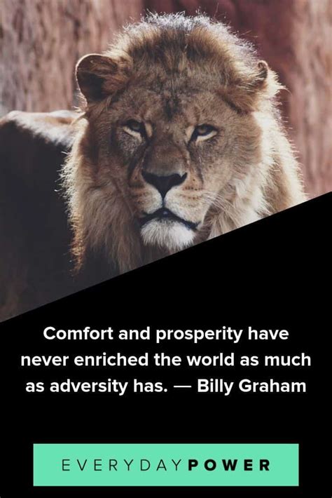 50 Adversity Quotes Celebrating Your Innate Power (2019)