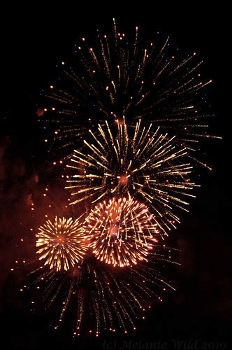 Fireworks July 1st | ♠GollyWild | Flickr