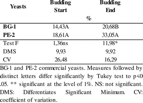 Budding yeast during the fermentation process. | Download Scientific ...