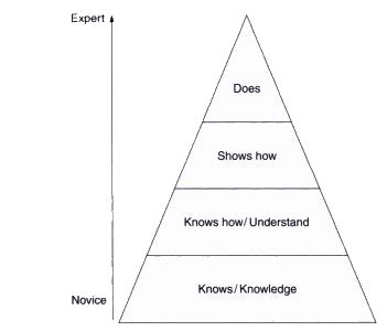 Educational theories you must know. Miller's pyramid. St.Emlyn's - St.Emlyn's