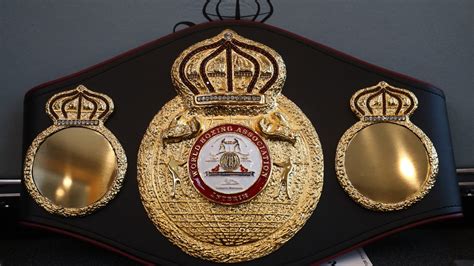 Who is the current heavyweight champion? WBA, WBO, WBC, IBF and The Ring title holders ...