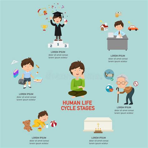 Human Life Cycle Clipart