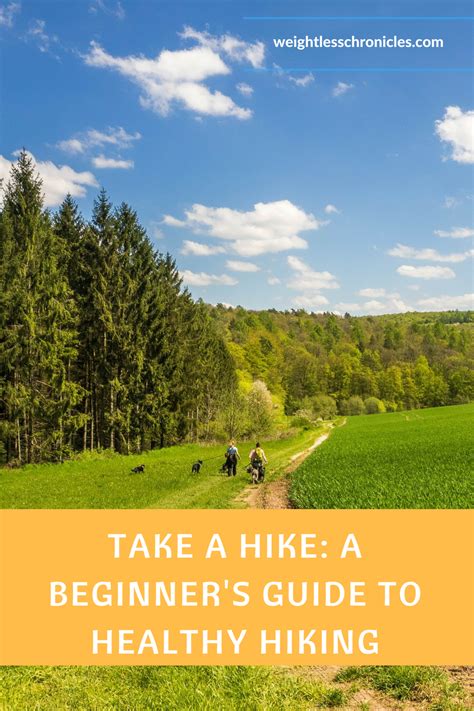 Take a Hike: A Beginner's Guide to Healthy Hiking - Weightless Chronicles