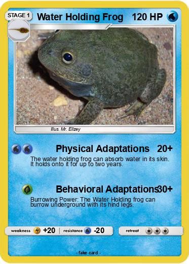 Pokémon Water Holding Frog 25 25 - Physical Adaptations - My Pokemon Card