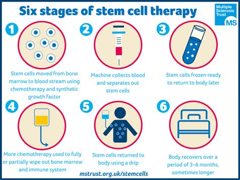 Does Stem Cell Therapy Works? 2020