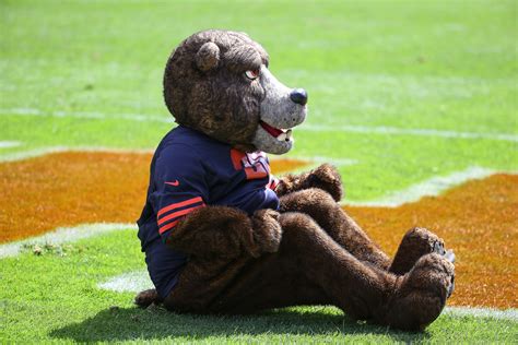 The Bears Mascot Had the Perfect Reaction to Losing to the Eagles On a ...