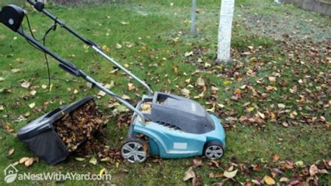 Lawn Sweeper Vs Bagger: Which To Choose In 2024? - A Nest With A Yard