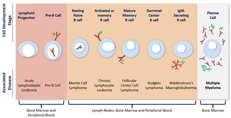 Multiple Myeloma