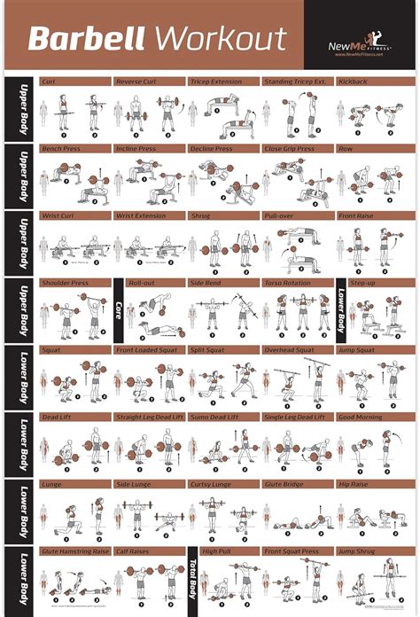 Pôster de exercícios para exercícios NewMe Fitness Barbell Laminado ...