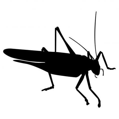 The Best 13 Cricket Insect Silhouette - aboutpartnerarts