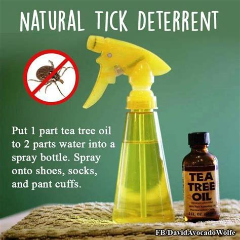 Natural Tick Repellent Recipe For Humans