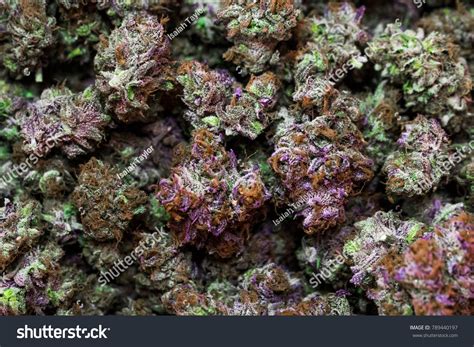 Weed Nug Cured Stock Photo 789440197 | Shutterstock