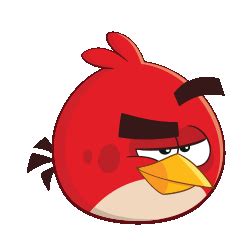 red angry birds Image, animated GIF