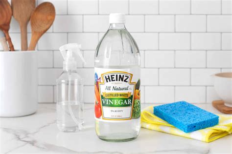 White Vinegar for Cleaning — 7 Genius White Vinegar Uses | Apartment ...