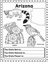 Arizona State Coloring Pages sketch template