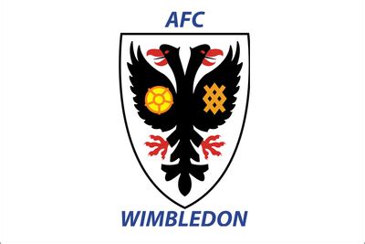 AFC Wimbledon: The Weird and Wonderful World of the Football Club That ...