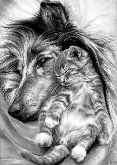 Realistic Drawings That Will Have You Raving Over The Details - Bored Art | Dieren tekenen, Hond ...