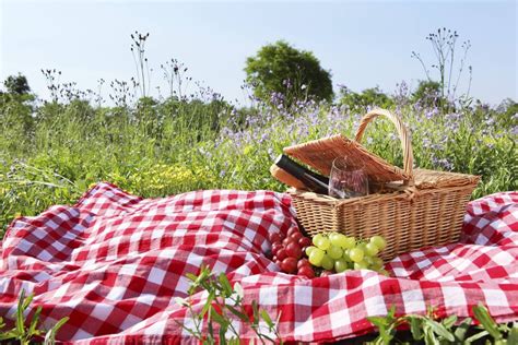 De picnic: los mejores sitios en Madrid para disfrutar de una comida ...