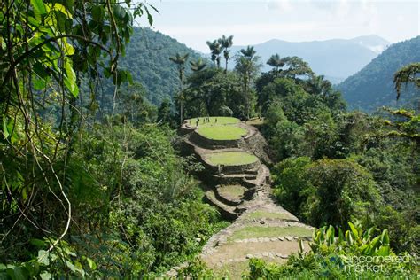 The Lost City Trek, Colombia: A Beginner's Guide | Lost city, Ecuador travel, Hiking trails