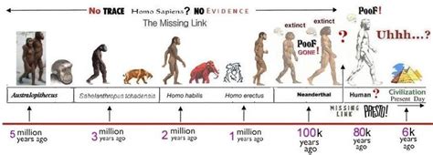 Human evolution | Paleontology | Pinterest | History timeline and Equation